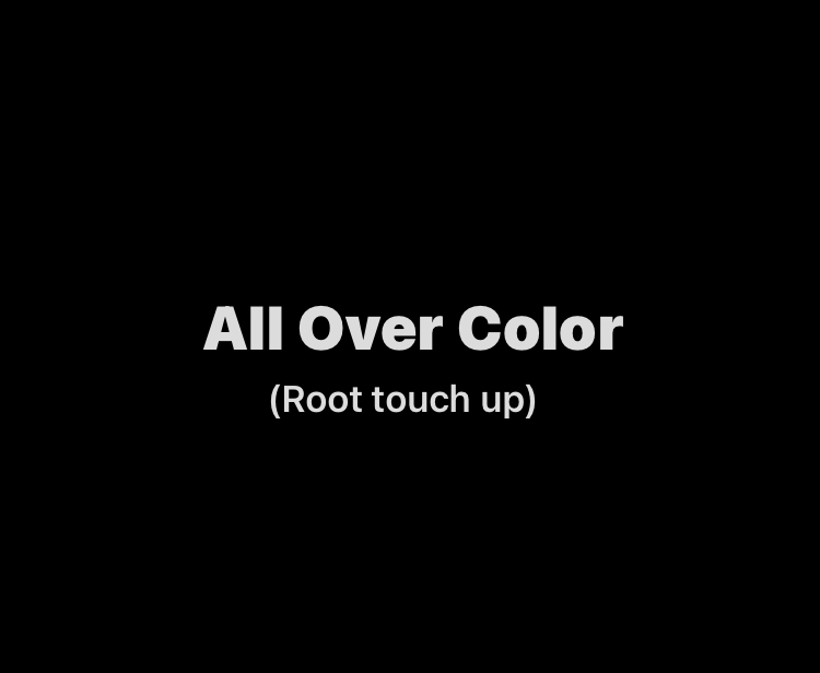 All Over Color (root touch up)