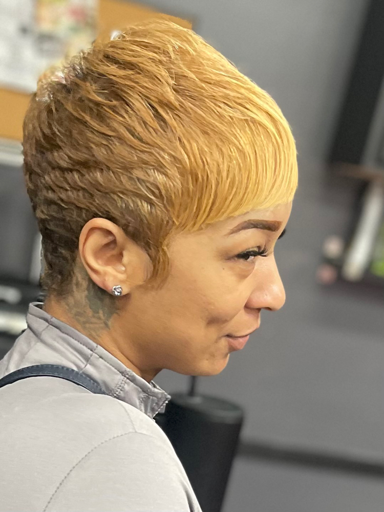 Hydro Glow Pixie ‼️Colored Hair‼️