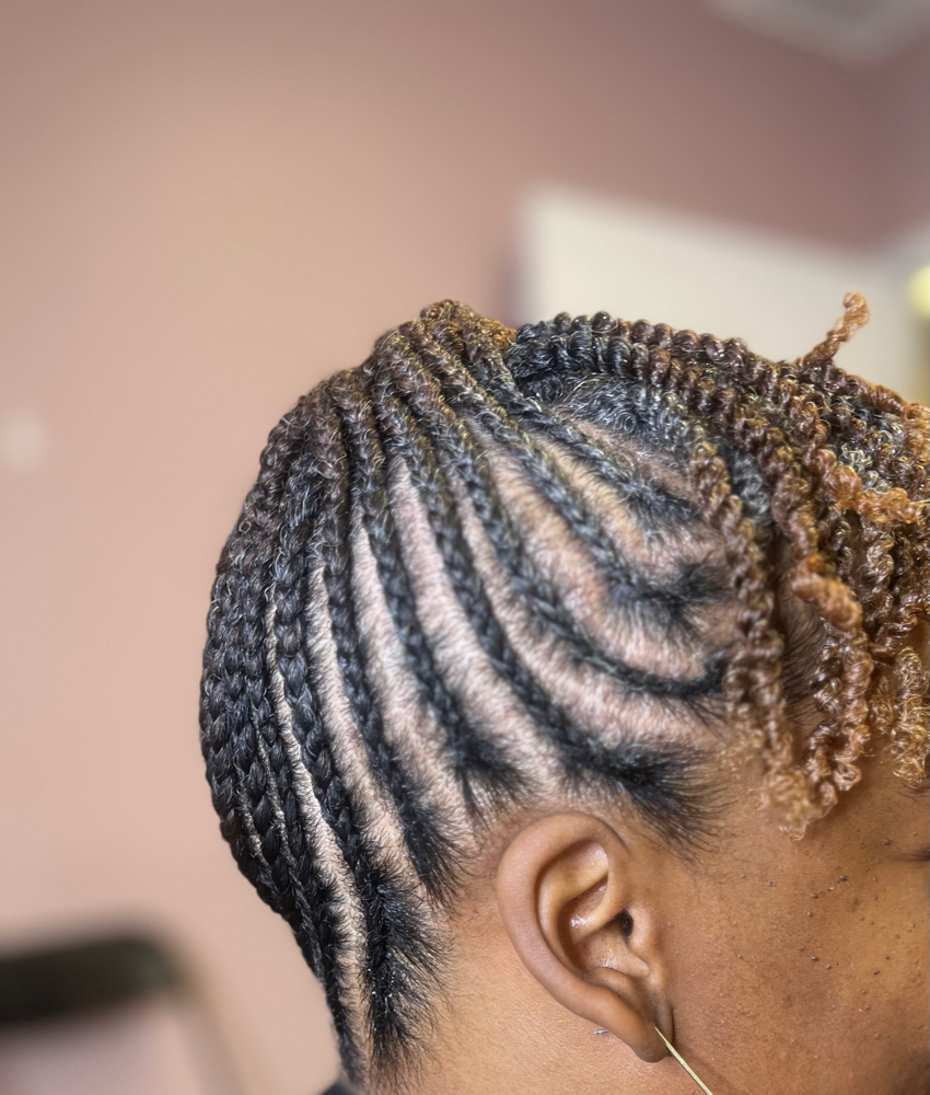 Natural Updo With Small Braids