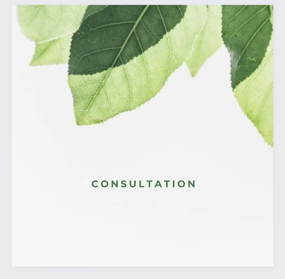 Consultation