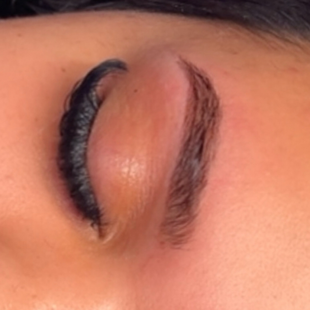 Brow Wax at Marisa's Lash House in San Antonio, TX