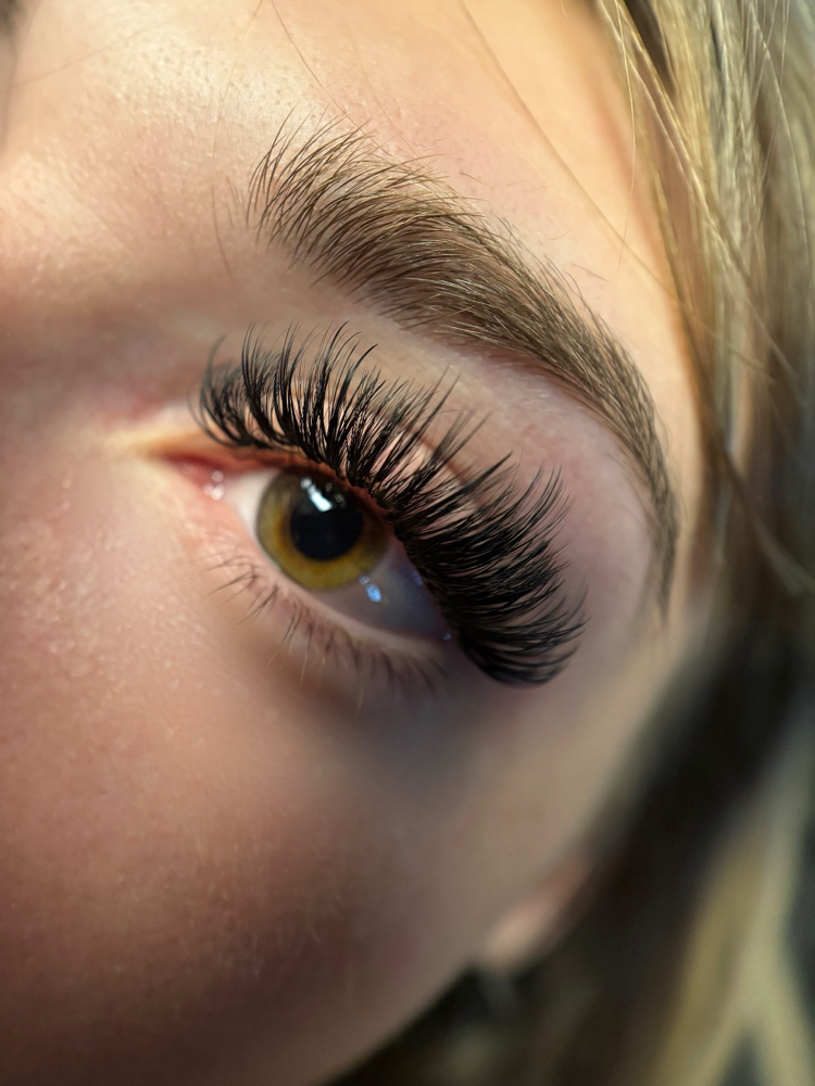 Wispy Lash Set