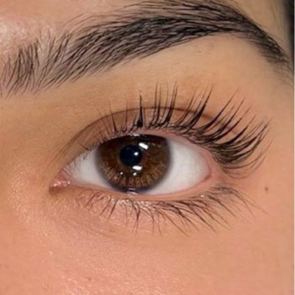 Gimme Lashes at Arch Artistry in Dallas, TX