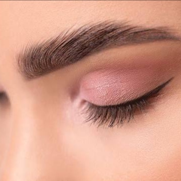 Brows at Anarchy in Blush Atelier in Ballwin, MO