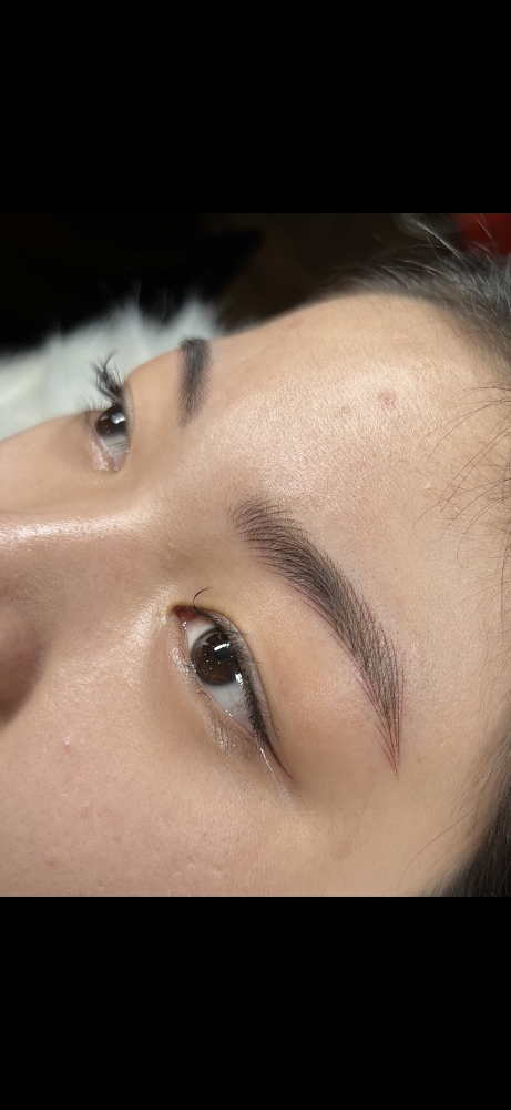 Microblading/ Nano Hairstrokes