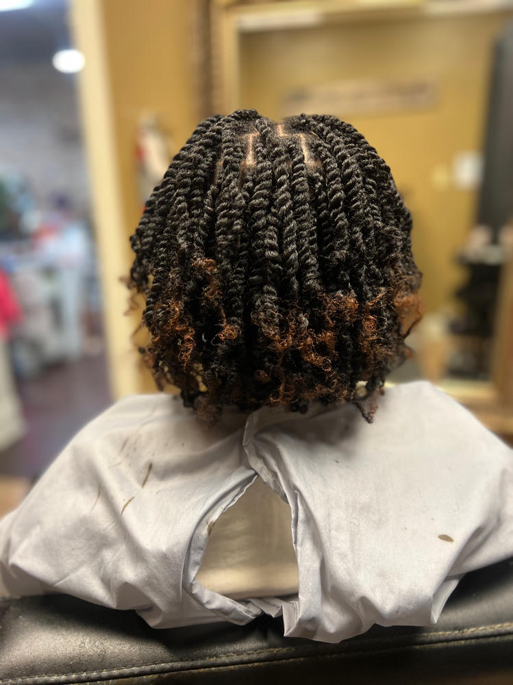 Small Two Strand Twist/Full Head