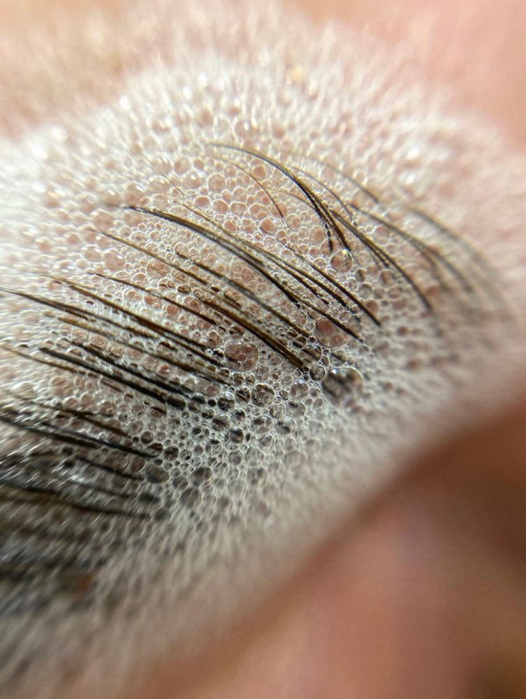 Brow Maintenance