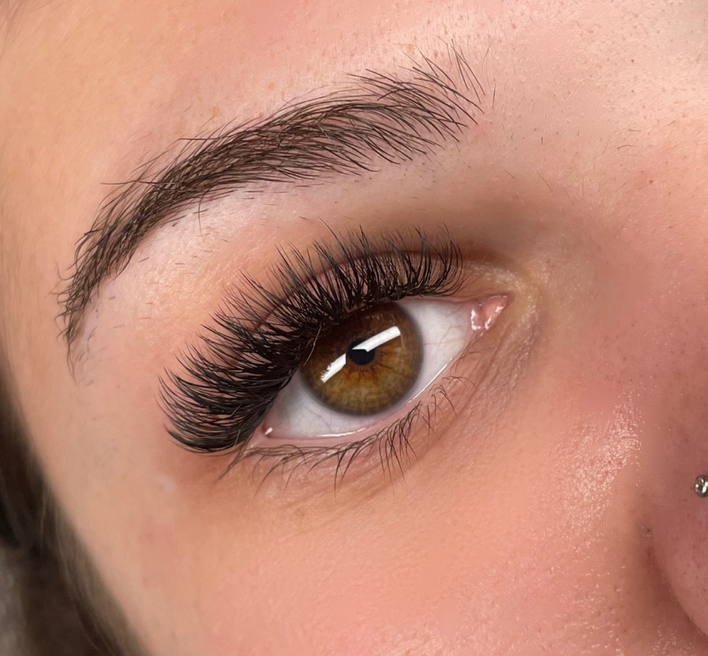 Hybrid Lashes