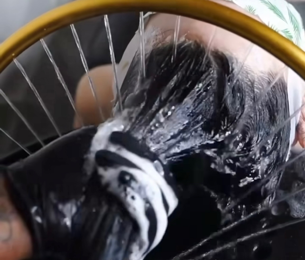 20 step scalp reset (recommend)