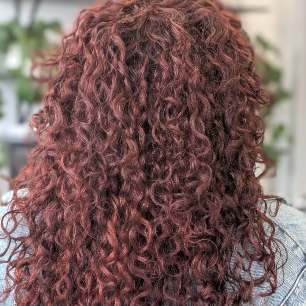 All Over Coloring at Elevated Curls in Colorado Springs, CO