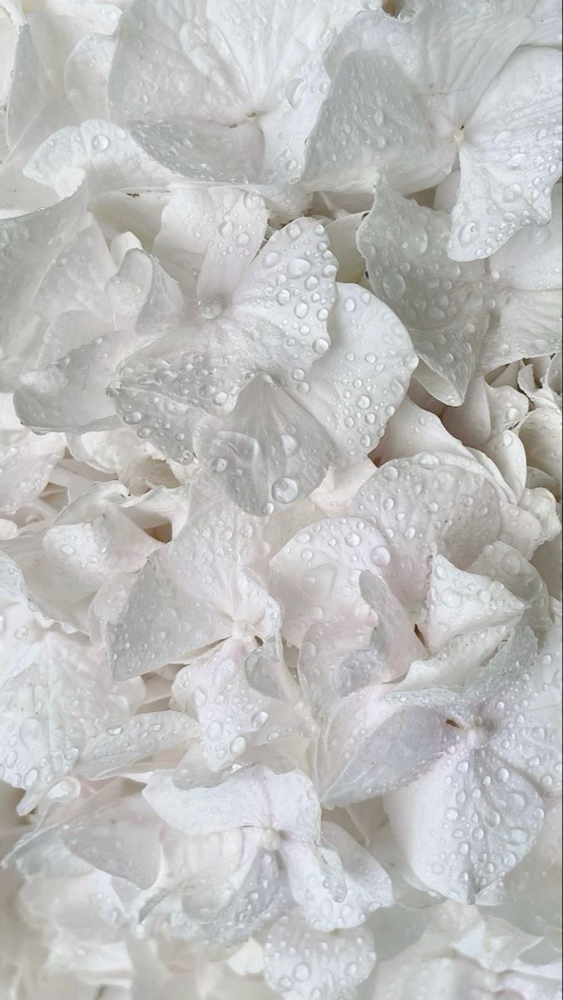 Silent Appointment at naillbell in Montclair, NJ