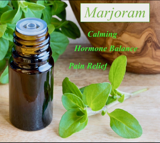 Marjoram Massage Series Trio 60 Min