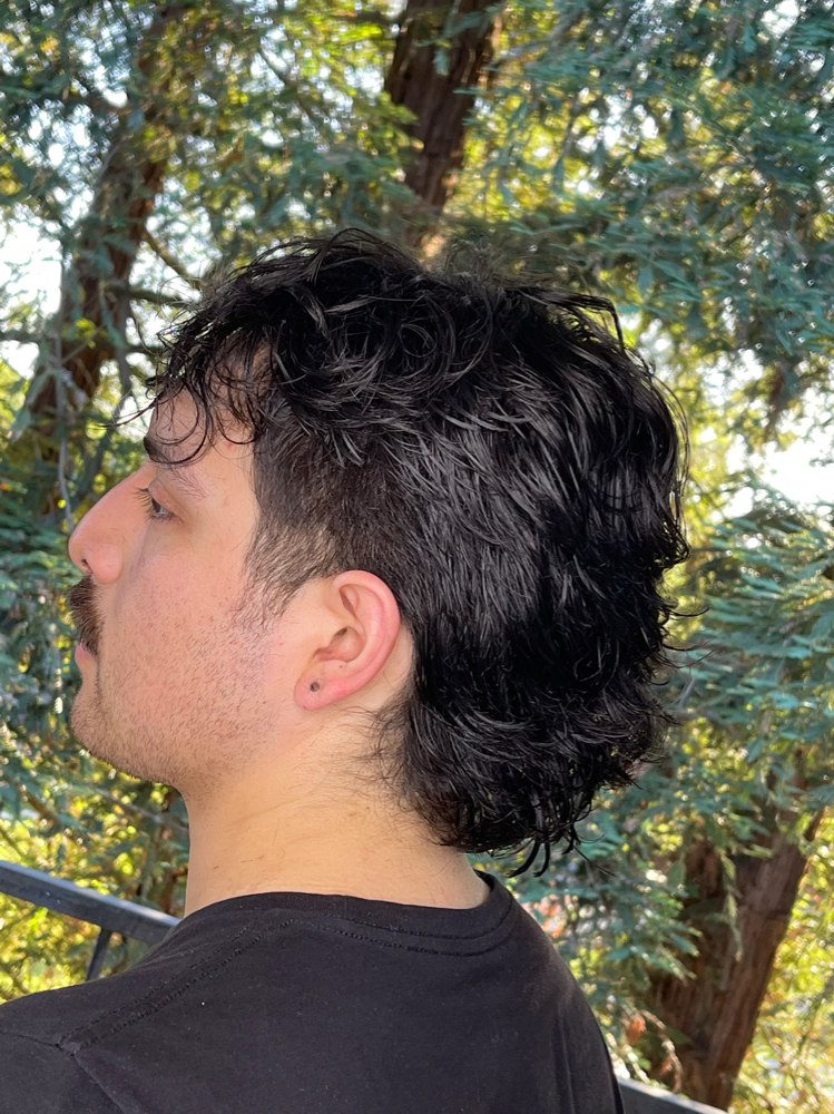 Mens Cut (Not Clippers)