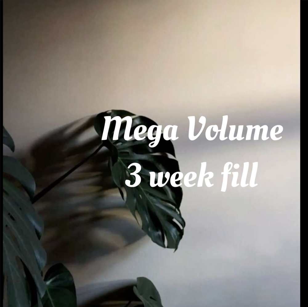 Mega Volume Fill 3 Weeks