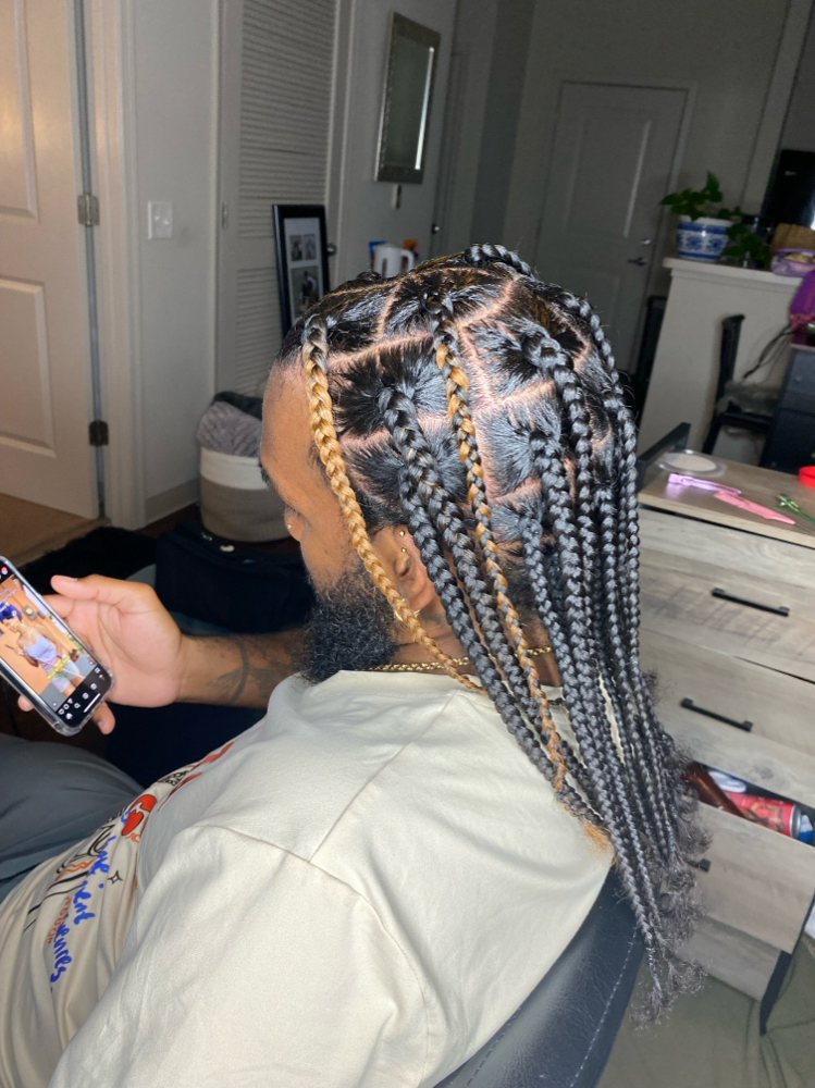 Mens Braids/ Twists