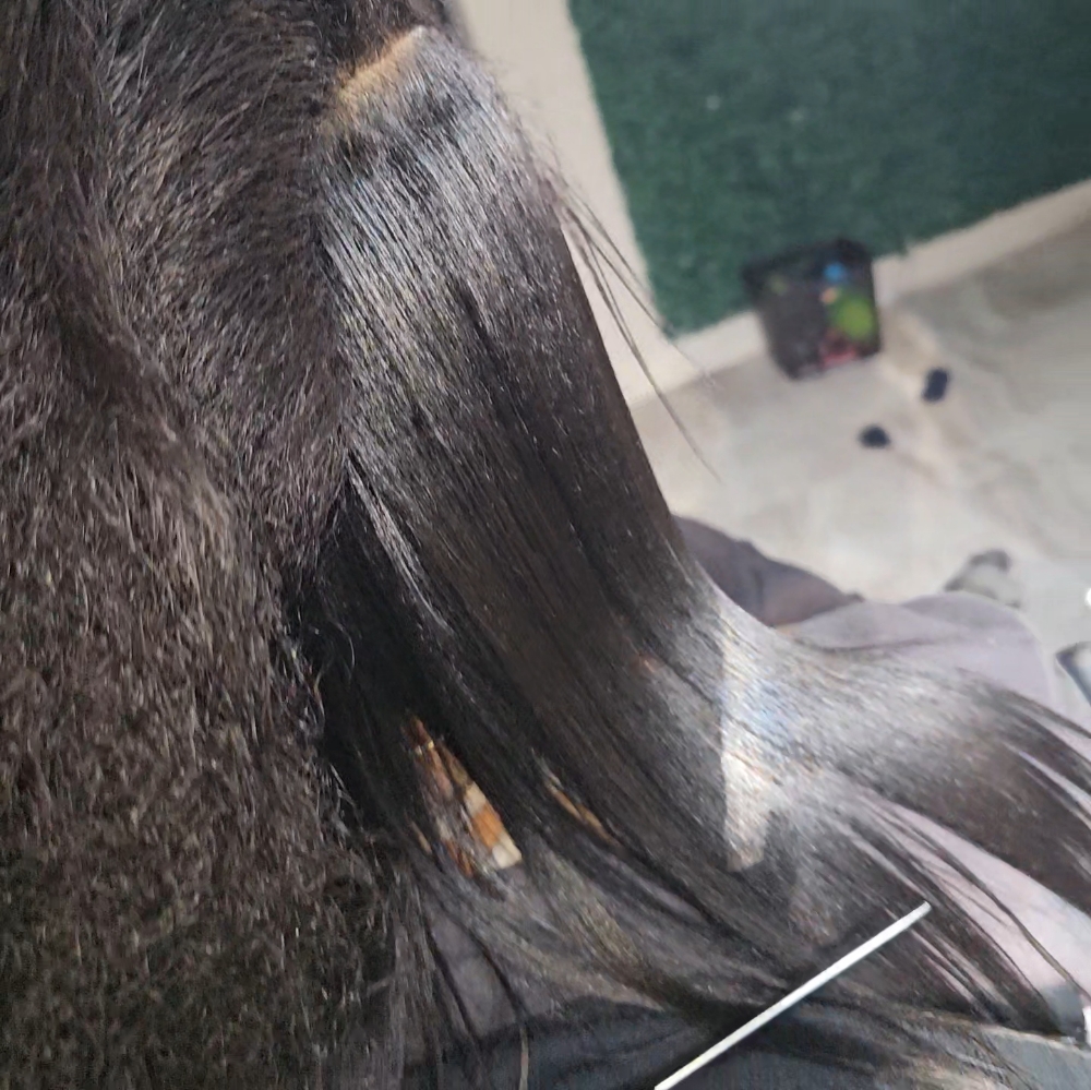 Wash Blow Dry & Press