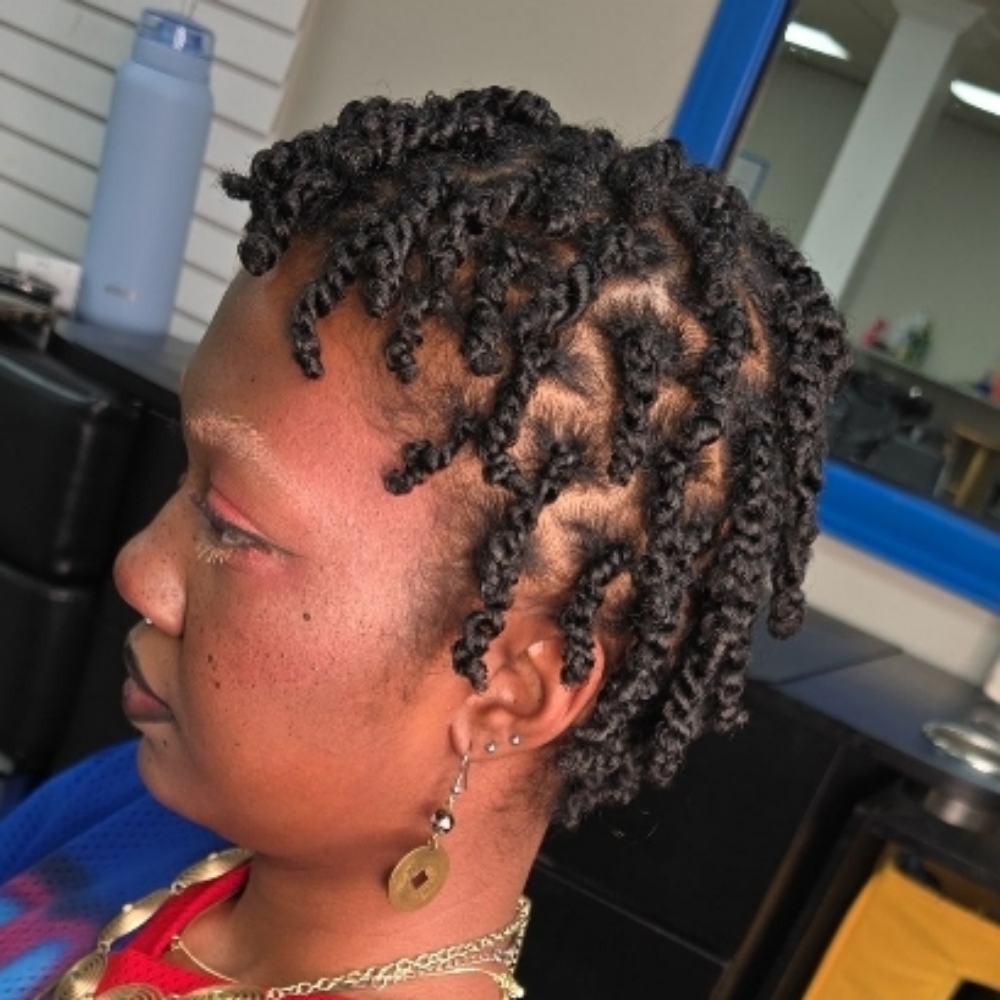 Two Strand Twists at Hair By Ronnie in Charlotte, NC