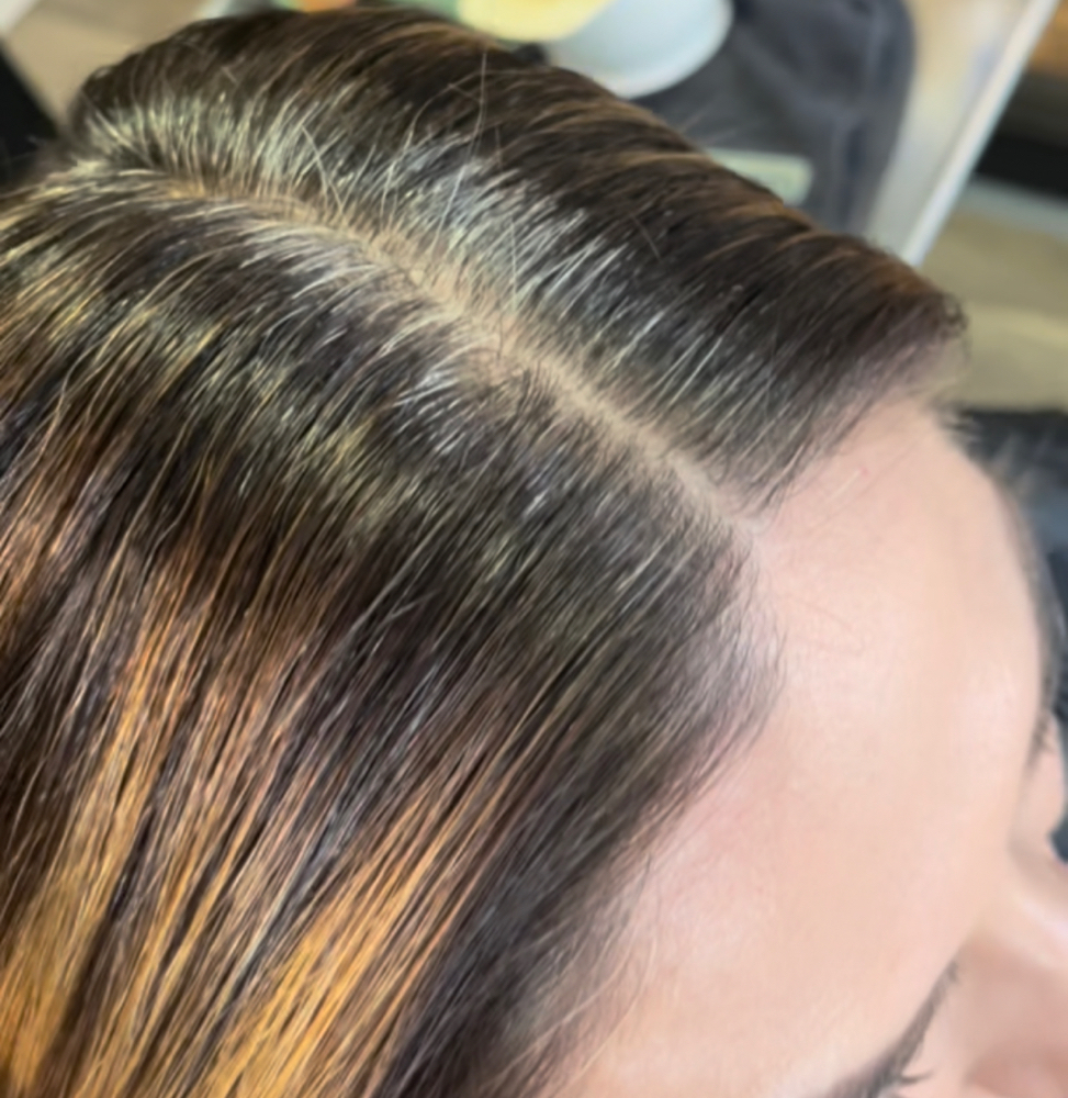 Gray Coverage Touch Up