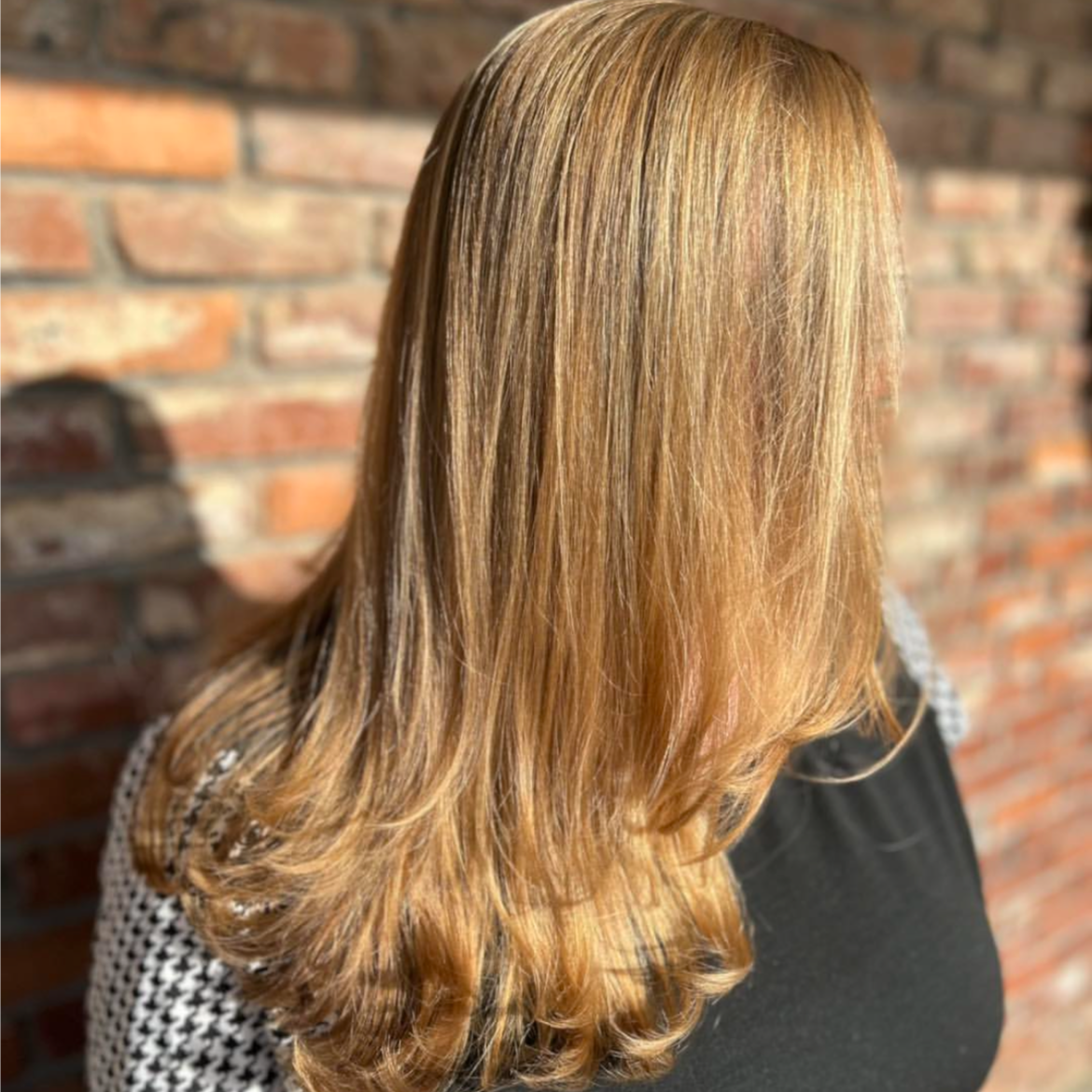 Haircut - no shampoo or blow-dry at Wild Waves Studio in Oak Ridge, TN