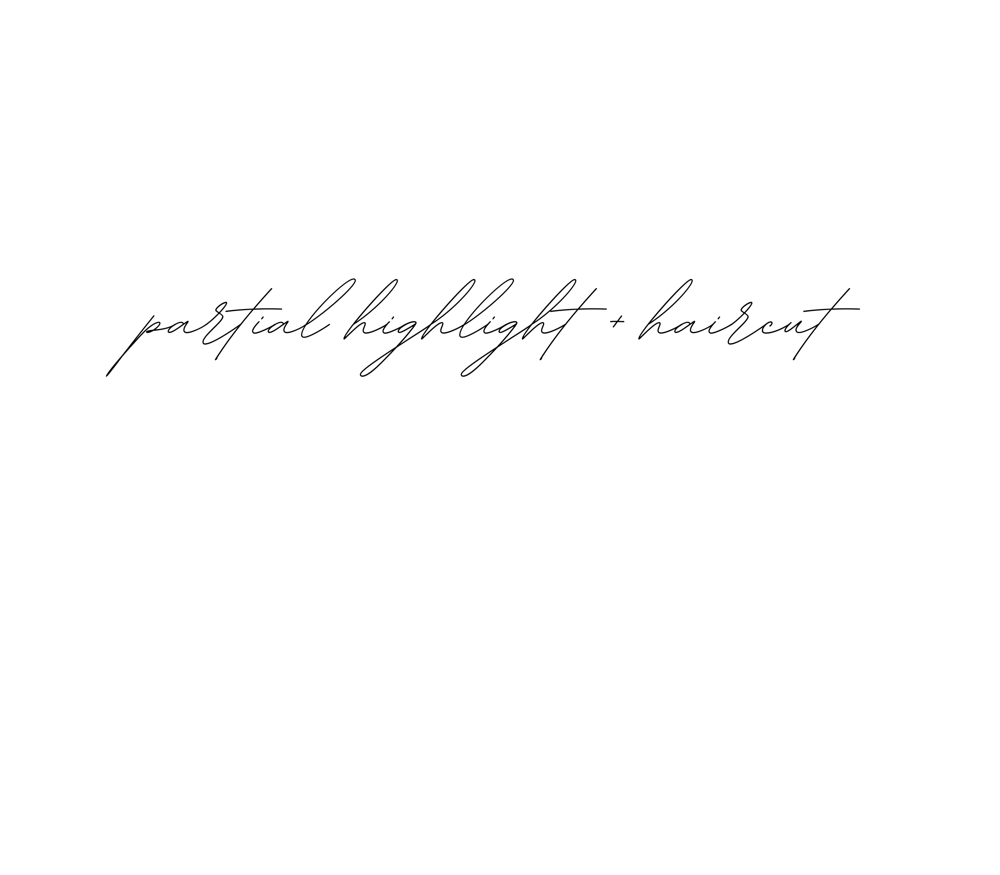 Partial Highlight + Haircut