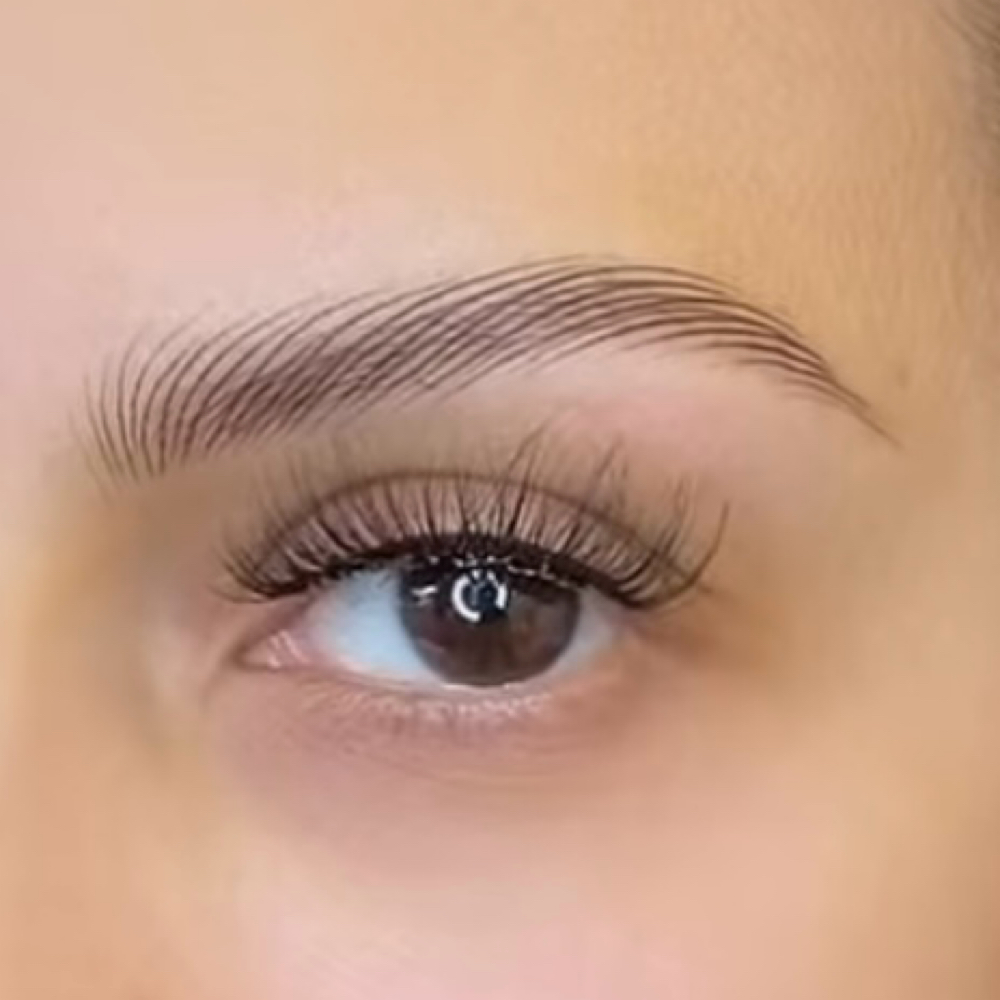 Nano hairstrokes at BROWS BY SANDY in Watauga, TX