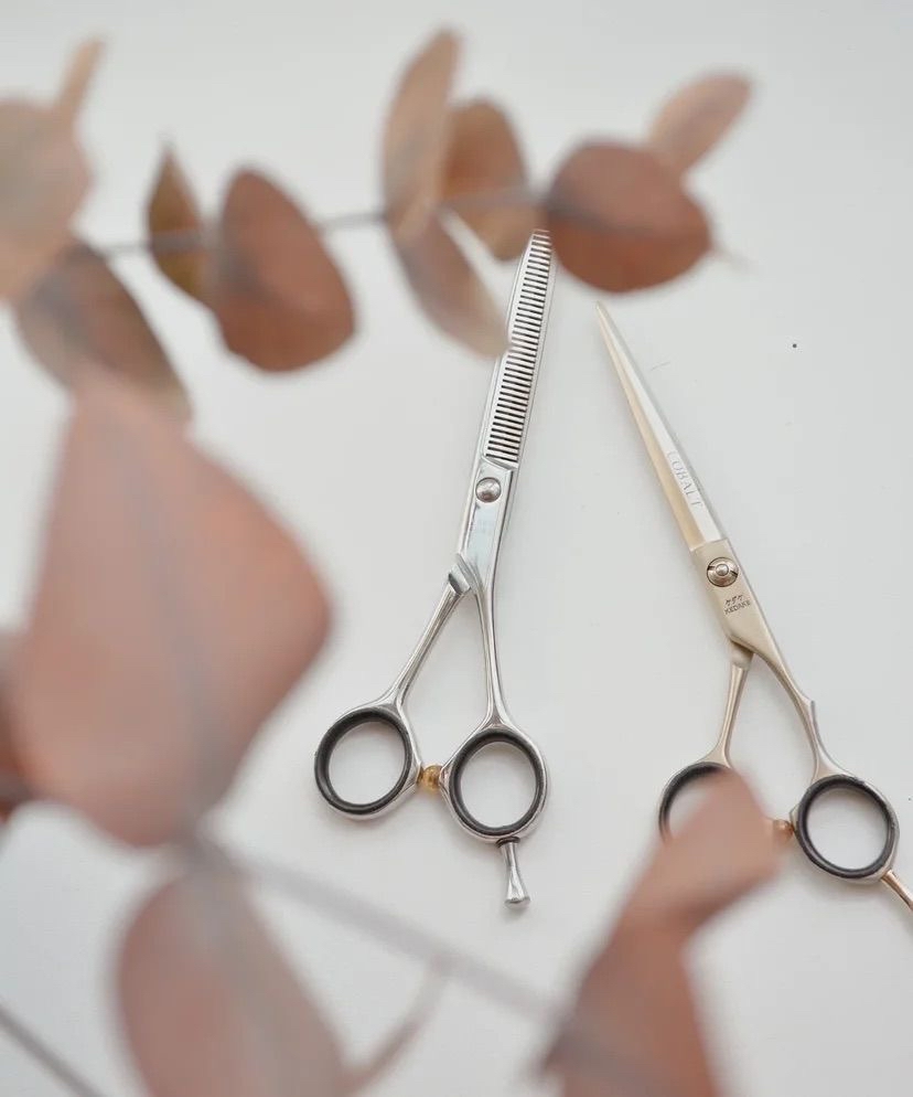Haircut & Brow Wax