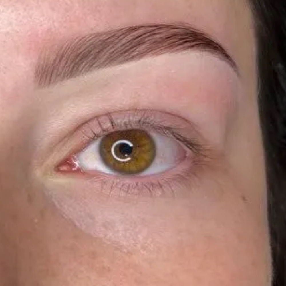 Brow Tint + Wax at Simply Skin LLC in Carson City, NV