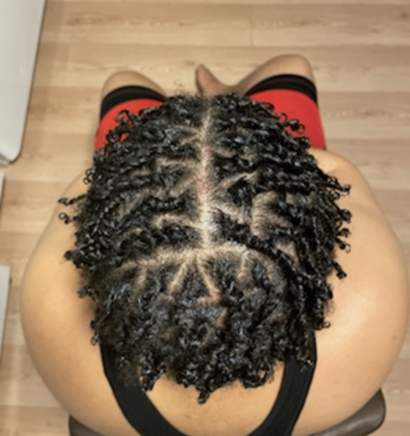 Two Strand Twist Or Plaits