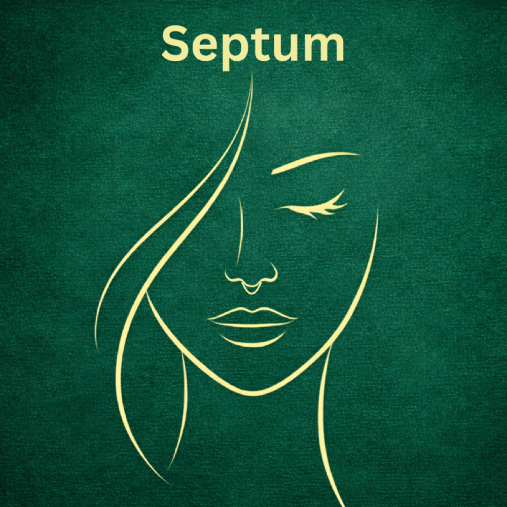 Septum Piercing at Love It or Lose It Tattoo and Body Spa in Royse City, TX