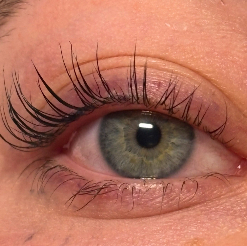 Korean Lash Lift And Tint at Oren’s Artistry in San Antonio, TX