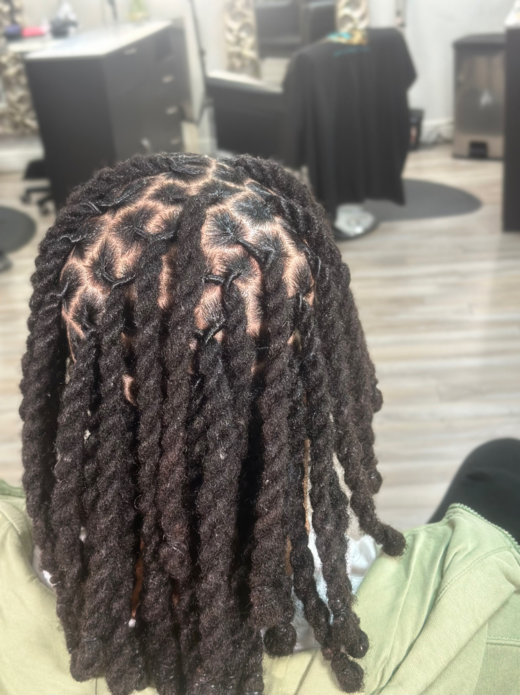 Retwist & 2 Strand Twist [Shoulder]