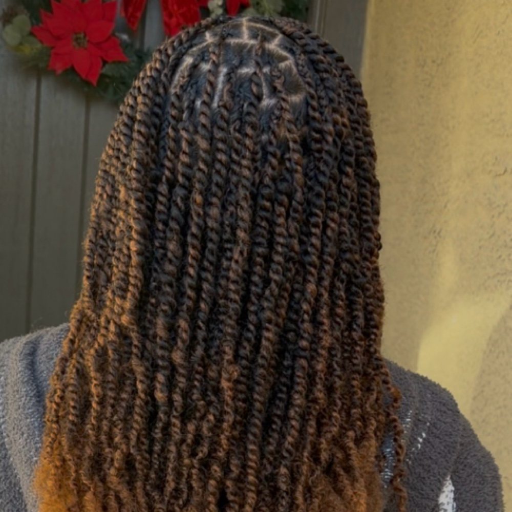 Spring Twist at Style_and_braids in Tucson, AZ