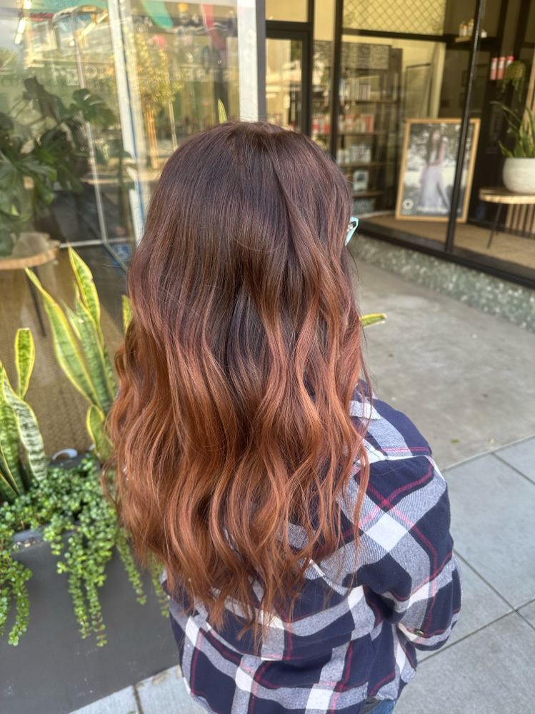 Root Touch Up W/ Gloss