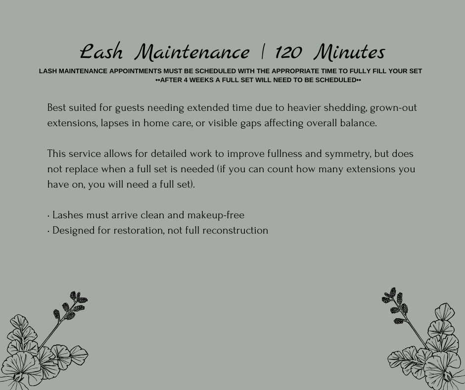 Lash Maintenance | 120min
