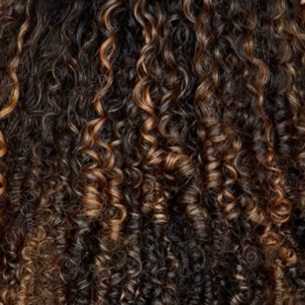 Custom Curly Highlight at The Texture Studio LLC in Lawrenceville, GA