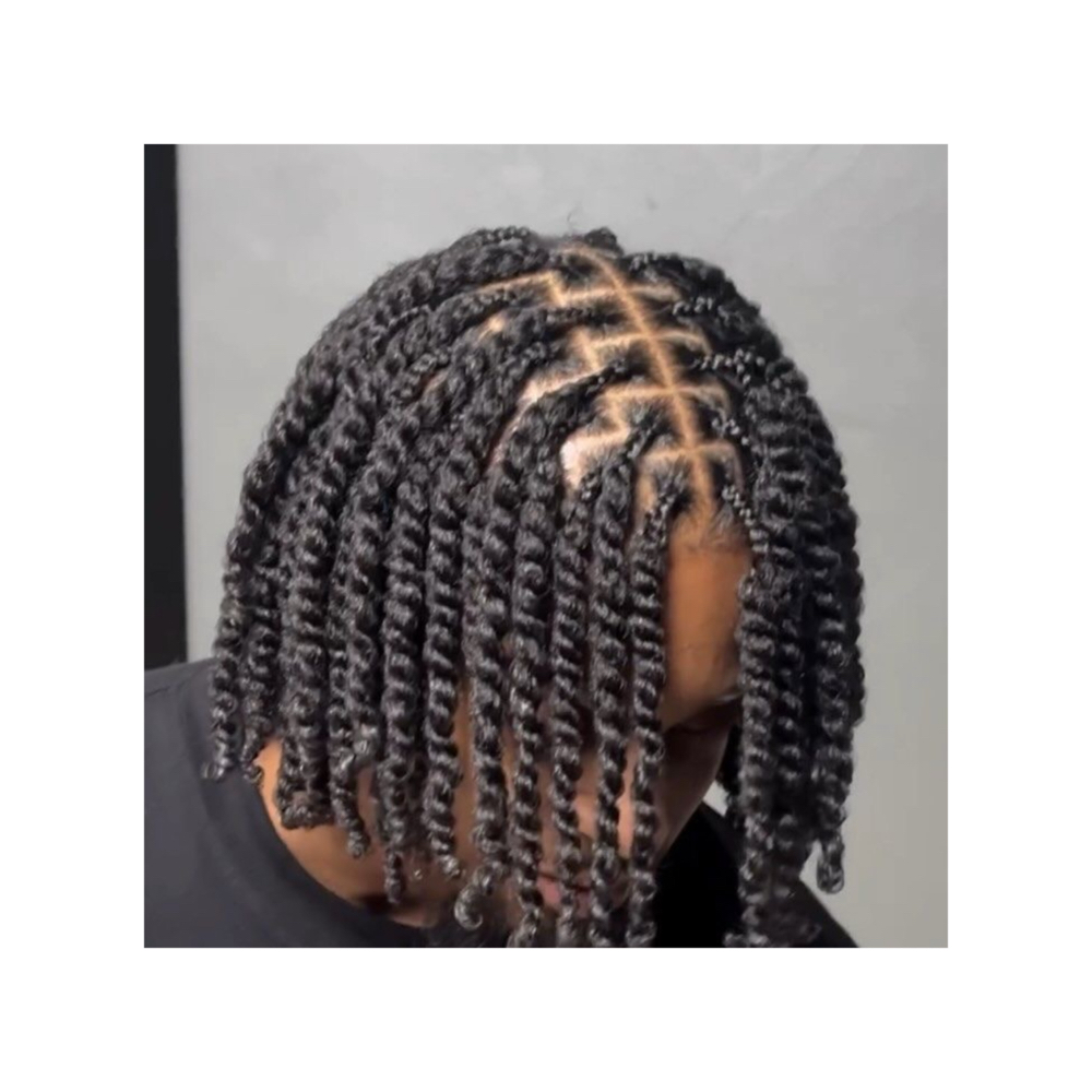 Two Strand Twistt at Marcelle Crown Studio in Pantego, TX