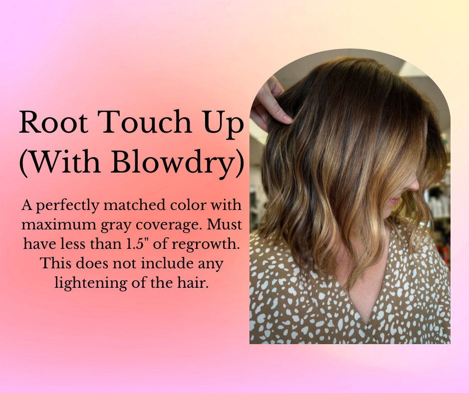 Root Touch Up - With Blowdry