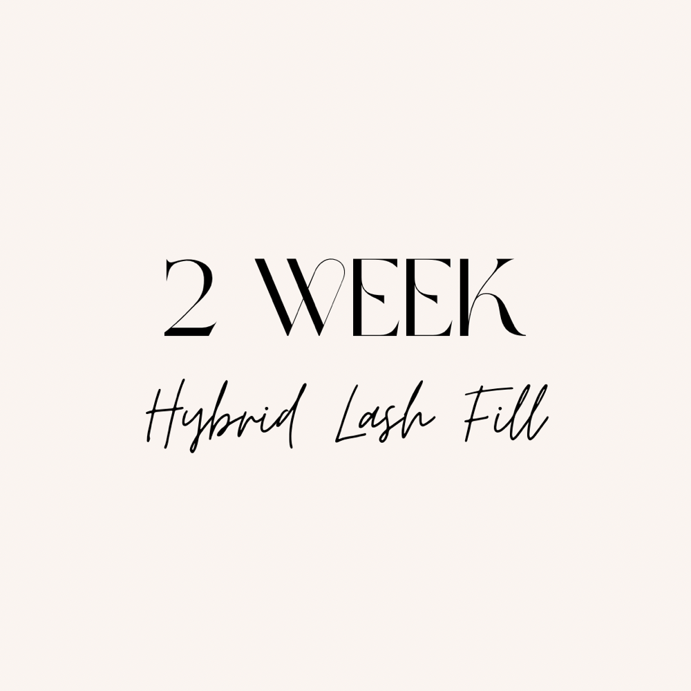 2 Week Hybrid Lash Fill