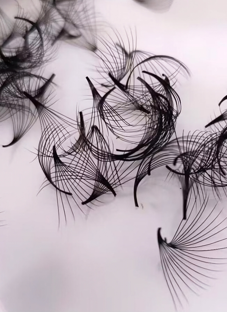Lash Extension Removal