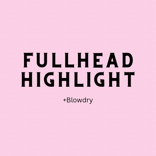 Full Head Highlight + Blowdry
