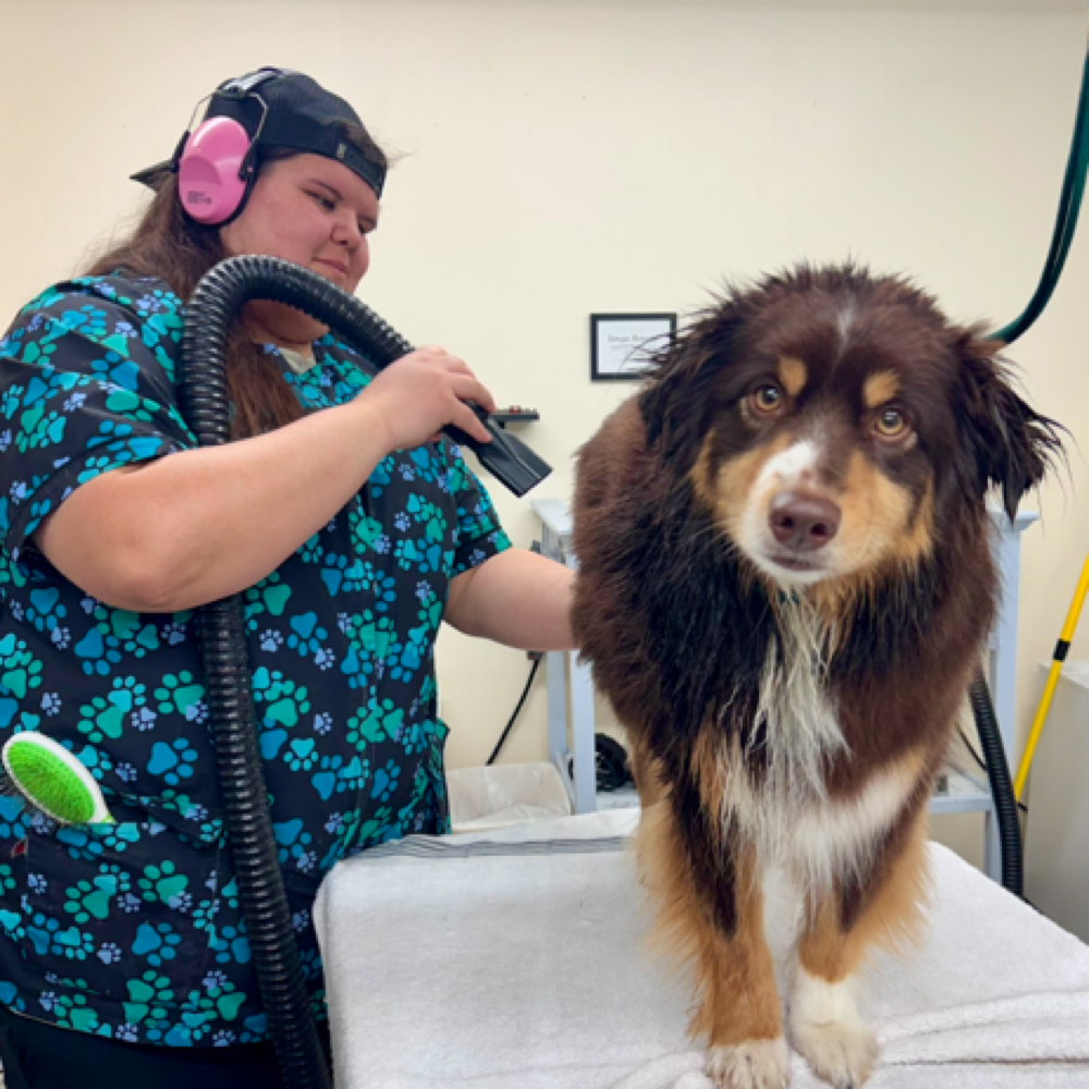 MEDIUM- Bath Package (25-45lbs)🛁 at Fur North Pet Spa in Minnesota, MN