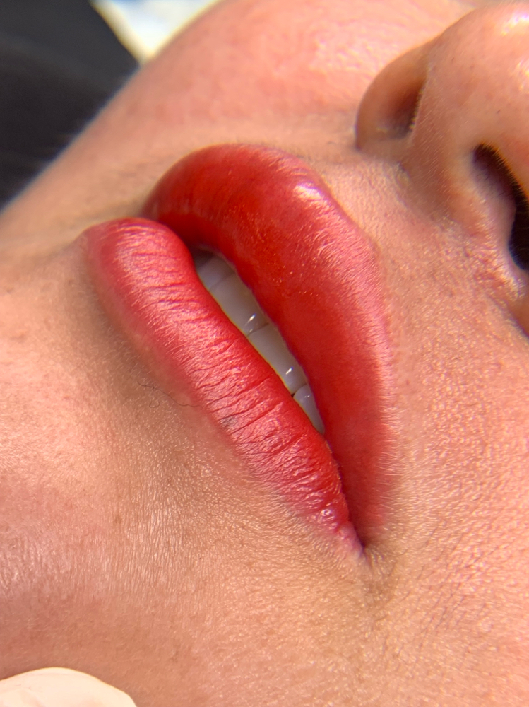 TOUCH UP NANO LIPS