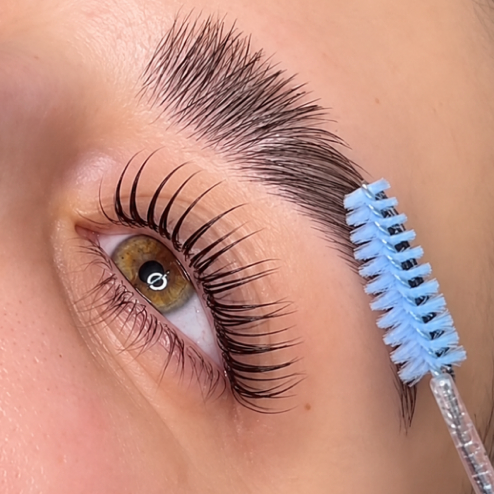 Korean Lash Lift + Tint at Exclusive Lash and Brows in Sayville, NY