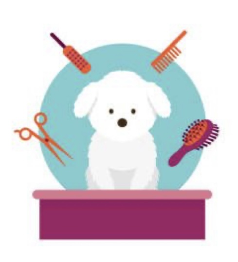 💵Add Ons (with Grooming Service)