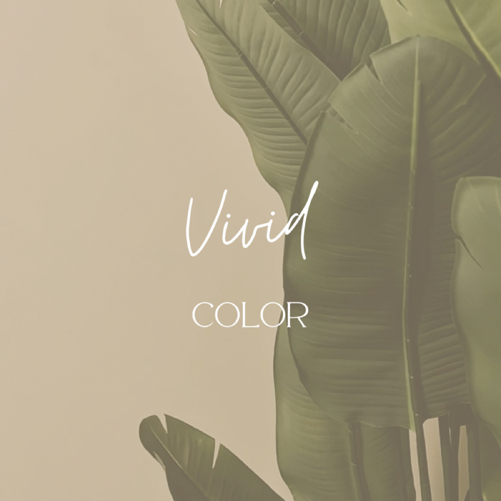 Vivid Color (requires consultaton) at Hair by Alexis McCaw in New Hartford, CT