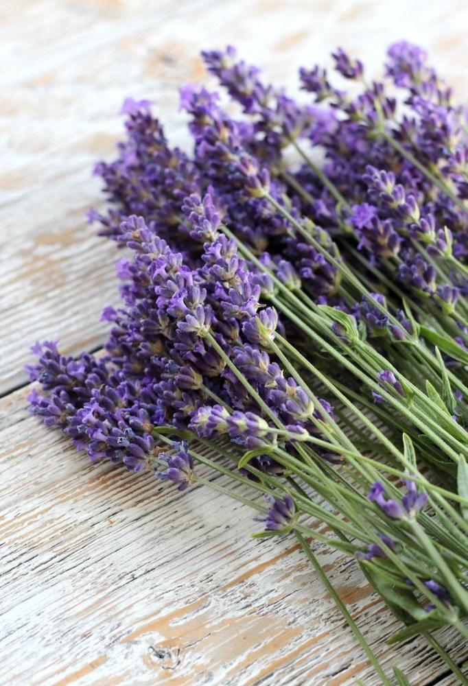 Mascarilla De Lavanda