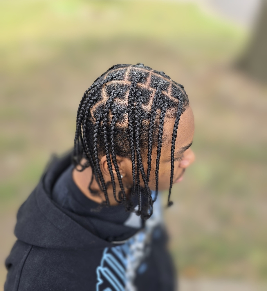 Plait Braids/box braids