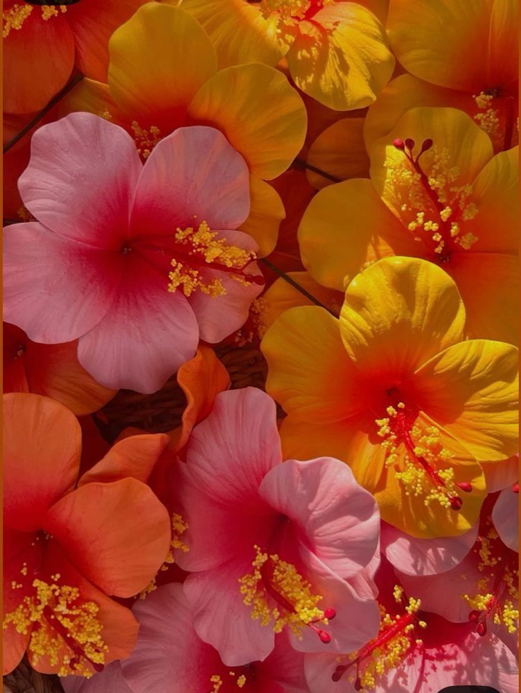 Brows (Males) at VelvetTouchBy: Laura ✨ in Boise, ID