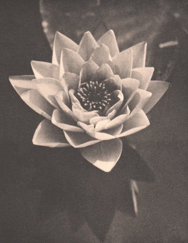 Microdermabrasion (add on only) at Ceremony Esthetics and Wellness in South Pasadena, CA