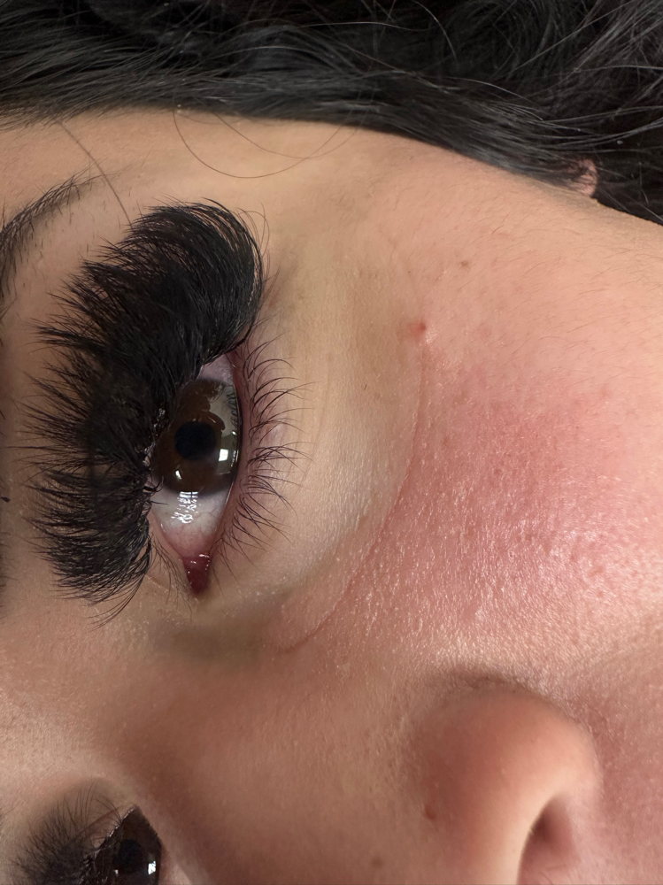 Three Week Lash Fill